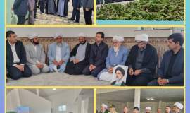 قرارداد ارائه خدمات پیله خشک کنی در جرگلان منعقد شد/ رشد سه برابری توزیع تخم نوغان در بین نوغانداران